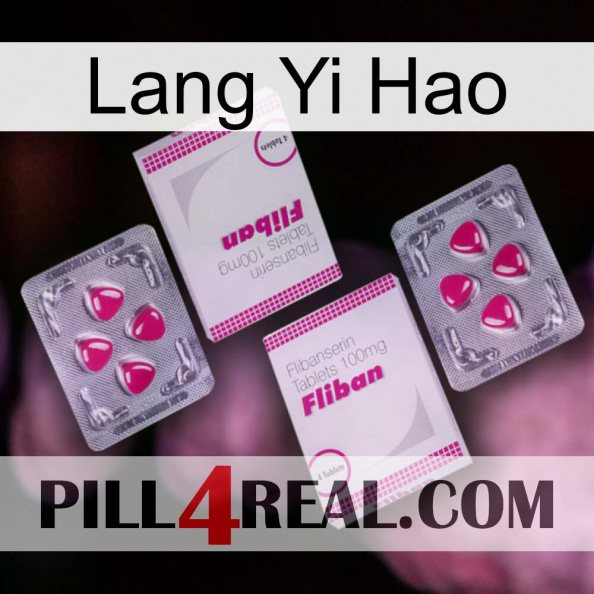 Lang Yi Hao 33.jpg